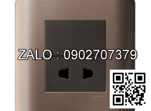 Ổ cắm đơn 2 chấu Clipsal / Schneider E84426U_SZ_G19
