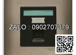 Bộ 2 ổ cắm Tivi Clipsal / Schneider E8432RJS4_SZ_G19