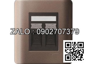 Ổ cắm mạng Clipsal / Schneider E8432TDRJS_5SZ_G19