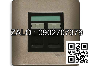 Bộ 2 ổ cắm mạng Clipsal / Schneider E8432RJS_6_SZ_G19