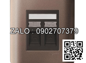 Ổ cắm mạng Clipsal / Schneider E8432TDRJS_6SZ_G19