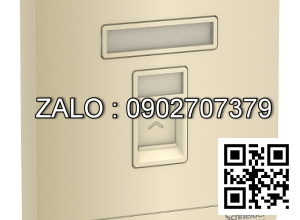 Ổ cắm điện thoại Clipsal / Schneider E8331RJS4_WG_G19