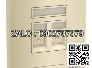 Bộ 2 ổ cắm điện thoại Clipsal / Schneider E8332RJS4_WG_G19