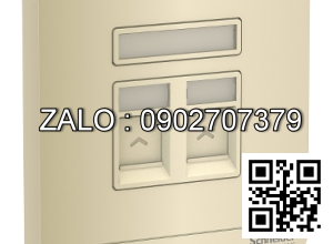 Bộ 2 ổ cắm mạng Clipsal / Schneider E8332RJS5_WG_G19