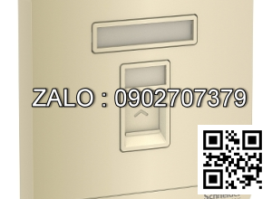 Ổ cắm mạng Clipsal / Schneider E8331RJS6_WG_G19