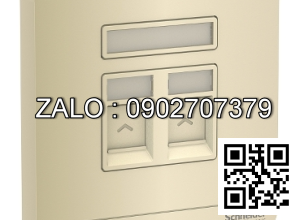 Bộ 2 ổ cắm mạng Clipsal / Schneider E8332RJS6_WG_G19