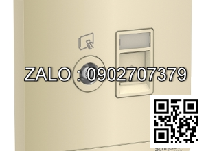 Ổ cắm mạng Clipsal / Schneider E8332TVRJS5_WG_G19