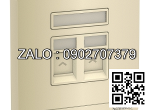 Ổ cắm mạng Clipsal / Schneider E8332TDRJS5_WG_G19