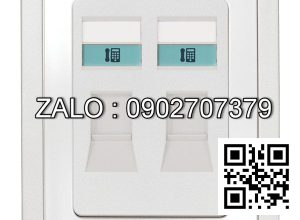 Bộ 2 ổ cắm điện thoại Clipsal / Schneider E3032RJ_WW_G19