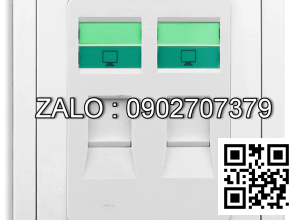 Bộ 2 ổ cắm mạng Clipsal / Schneider E3032RJ5E_WW_G19