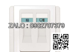 Bộ 2 ổ cắm mạng Clipsal / Schneider E3032TD_WW_G19