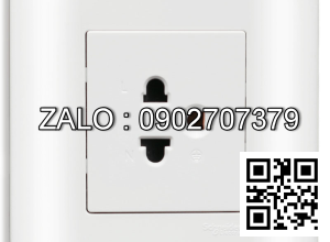 Bộ ổ cắm đơn 3 chấu Clipsal / Schneider E3015_GS_G19