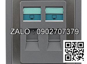 Bộ 2 ổ cắm mạng Clipsal / Schneider E3032RJ5E_GS_G19