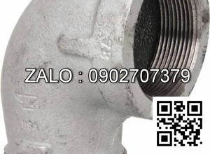 Co nước Inox CO21