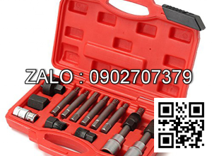 Bộ khẩu tháo buly Máy phát điện 13 chi tiết