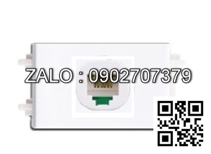 Ổ cắm mạng Clipsal / Schneider F30RJ5EM_WE_G19