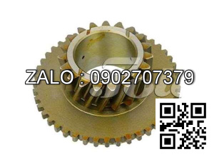 Nhông 19Tx45T TAILIPT FD / G15-35