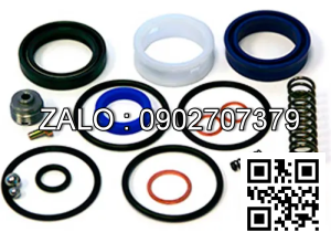 Bộ sin phốt xe nâng tay