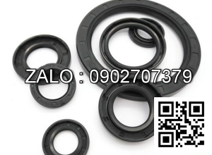 Thay phốt biến mô (phốt bí)