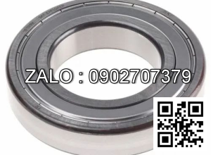 Vòng bi SKF 6025-2RS