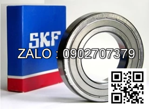 Vòng bi SKF 6029-2RS