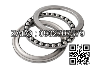 Thay phốt đuôi cá + bạc đạn đuôi cá