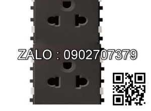 Ổ cắm đôi 3 chấu Clipsal / Schneider 84426LUES2_BZ_G19