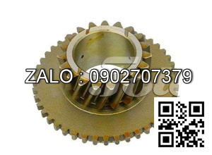 Nhông 19Tx45T TAILIPT FD / G15-35