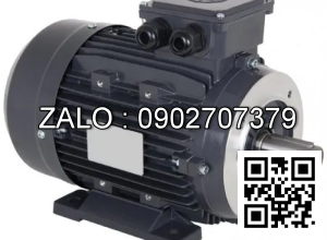 Motor giảm tốc Wanshsin 1/2 HP 400W đầu cốt 40 , tỉ số truyền 210-1800