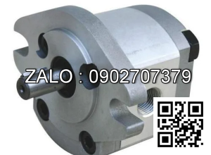 Bơm thủy lực IGD-5F-50-R CML