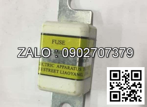 Cầu chì 200A TCM 200A/2000407010