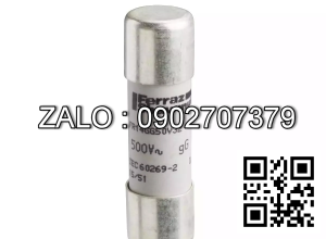cầu chì 60A HYTSTER H2.50-3.00DX