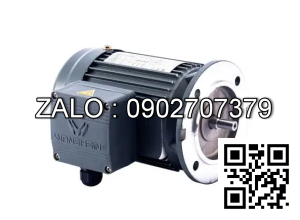 Motor giảm tốc 3 pha mặt bích Wanshsin GV28-750W-25S