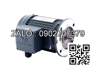 Motor giảm tốc 3 pha mặt bích Wanshsin GV32-400W-100S