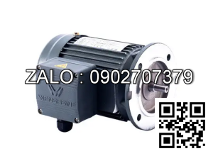 Motor giảm tốc 3 pha mặt bích Wanshsin GV28-200W-180S