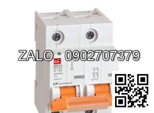 Aptomat LS MCB 2P 80A 10kA BKH 2P