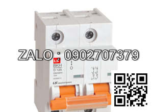 Aptomat LS MCB 2P 100A 10kA BKH 2P