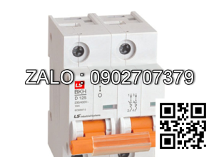 Aptomat LS MCB 2P 125A 10kA BKH 2P