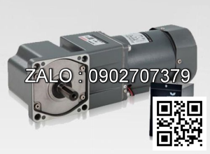 Motor giảm tốc mini Wanshsin 60YS06DV22 6W 1 Pha 220V