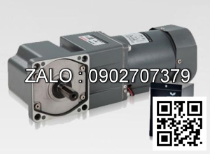 Motor giảm tốc mini Wanshsin 60YS06GV22 6W 1 Pha 220V