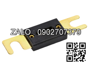 Cầu chì 50A 250V