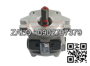 Bơm thủy lực DSG05C20F9H9