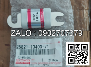 FUSE 100 AMP 25821-13400-71 TY