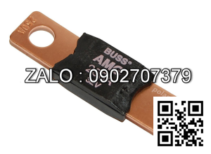 FUSE 250 AMP 2003096