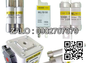 Cầu chì 100A-150V