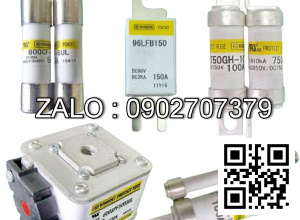 Cầu chì 80A 150V