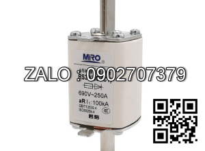 Cầu chì sứ, MIRO RS0 RGS32 aR 250A 200A 150A