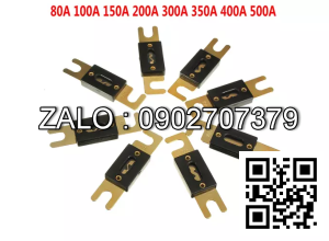 cầu chì 100A