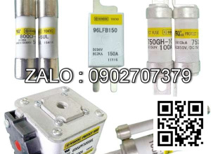 Cầu chì 150V-50A