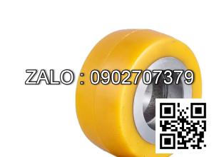 Bánh xe Support wheel 125x50 (6204ZZV) Toyota BOPT LPE200/8 171999